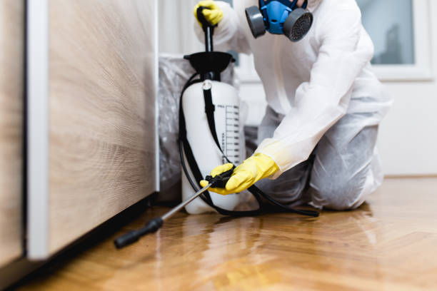 Best Insect Control  in Satsuma, AL