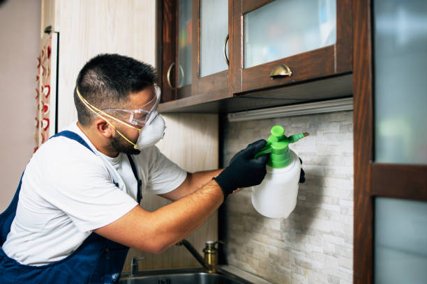 Best Emergency Pest Control  in Satsuma, AL