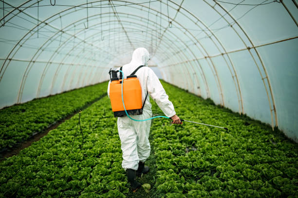 Professional Pest Control in Satsuma, AL