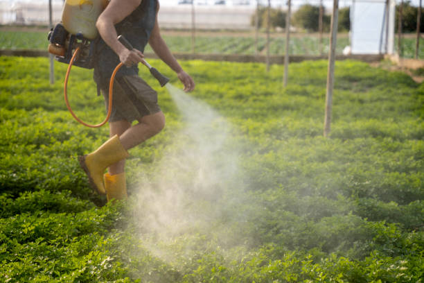 Best Mosquito Control Services  in Satsuma, AL
