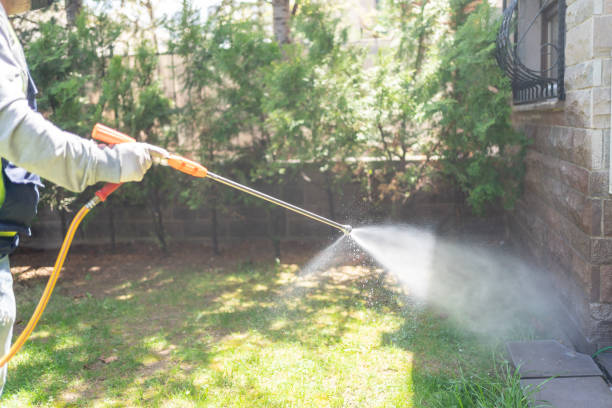 Best Residential Pest Control  in Satsuma, AL