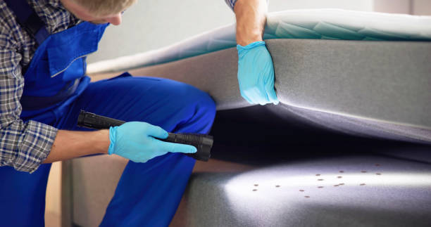 Best Rat Extermination Near Me  in Satsuma, AL