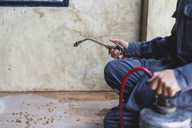 Best Pest Removal Services  in Satsuma, AL
